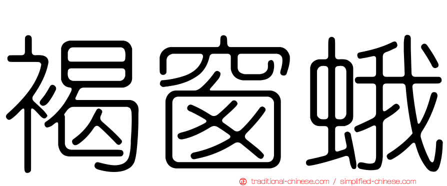 褐窗蛾