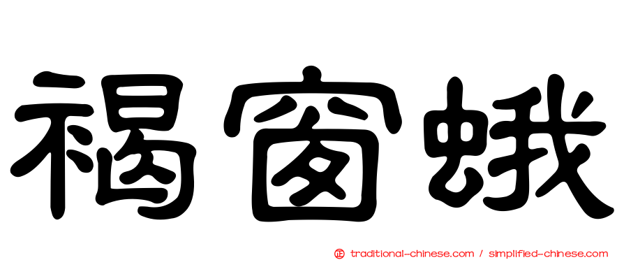 褐窗蛾