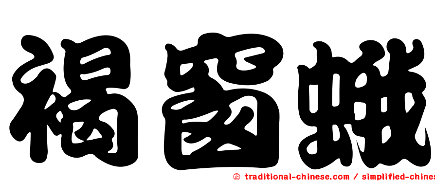 褐窗蛾