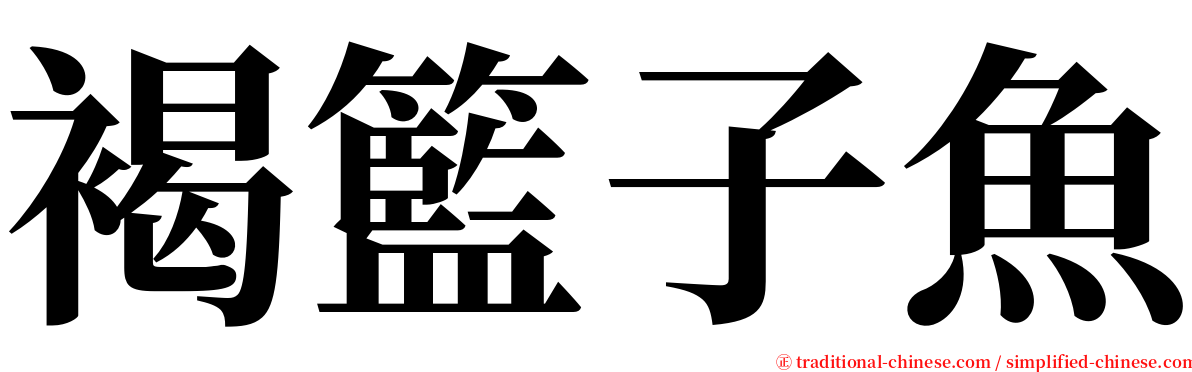 褐籃子魚 serif font