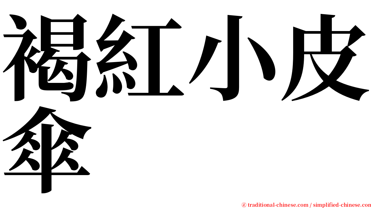 褐紅小皮傘 serif font