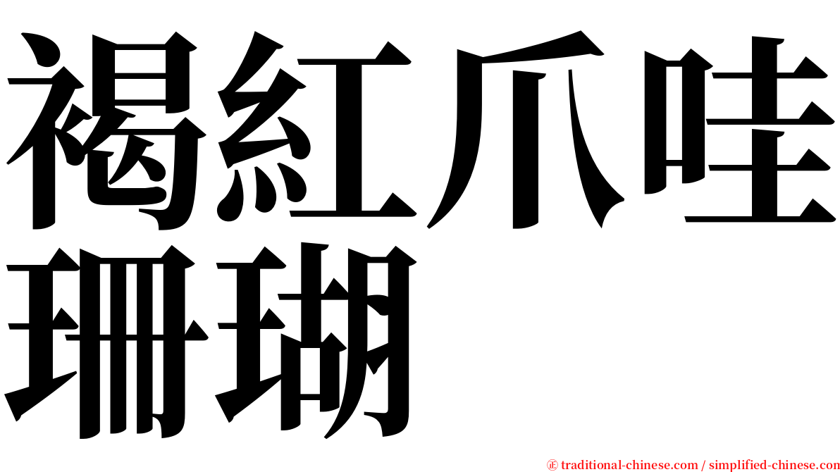 褐紅爪哇珊瑚 serif font