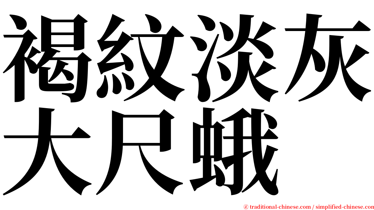 褐紋淡灰大尺蛾 serif font