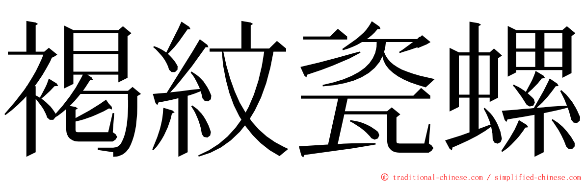 褐紋瓷螺 ming font