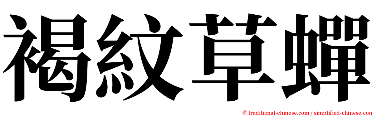 褐紋草蟬 serif font