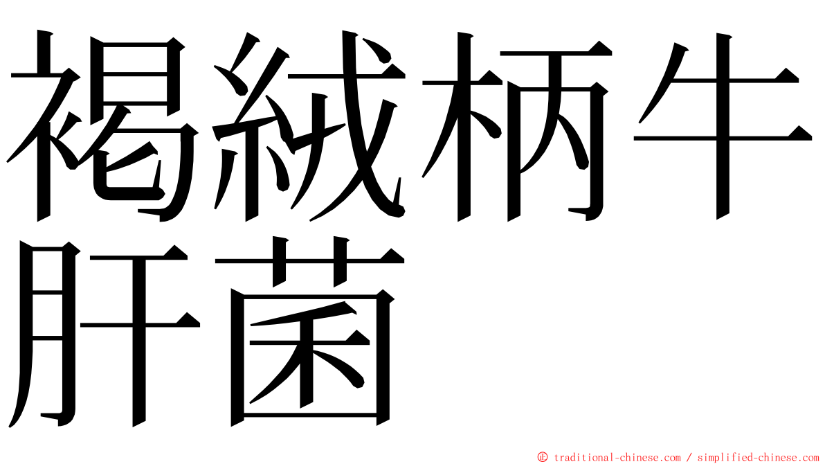 褐絨柄牛肝菌 ming font