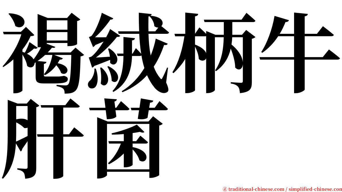 褐絨柄牛肝菌 serif font