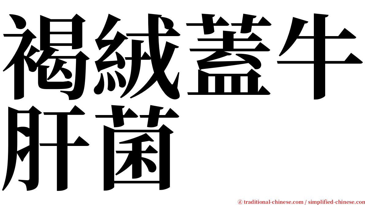 褐絨蓋牛肝菌 serif font