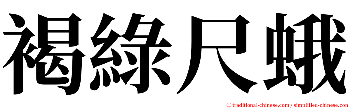 褐綠尺蛾 serif font