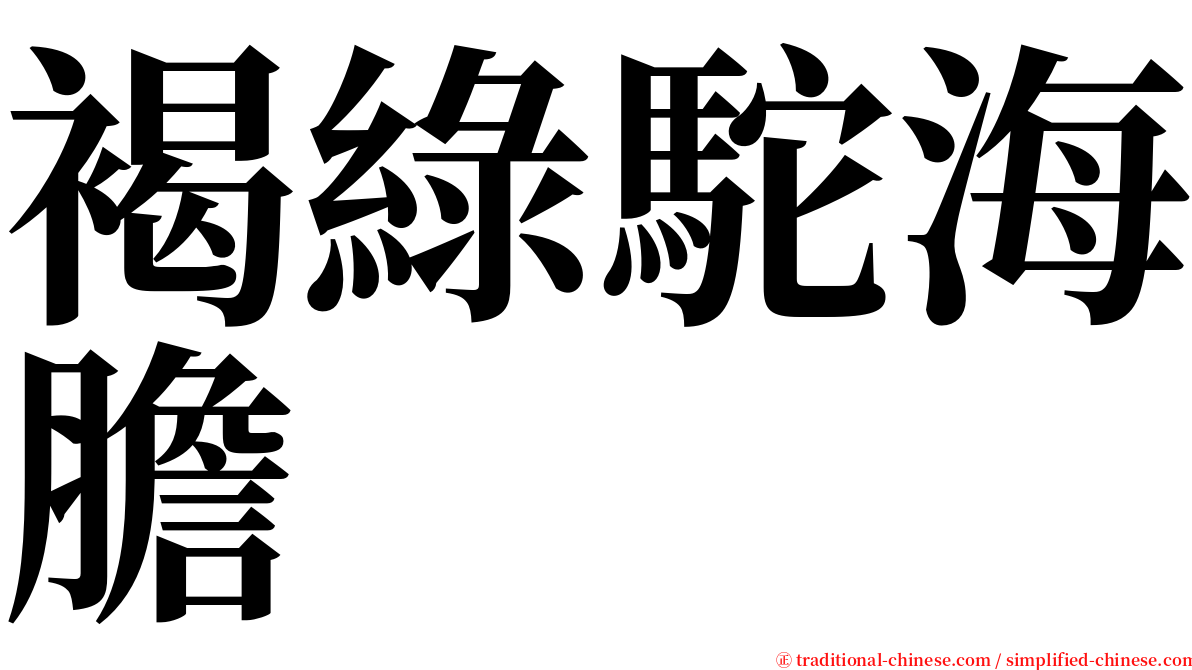 褐綠駝海膽 serif font