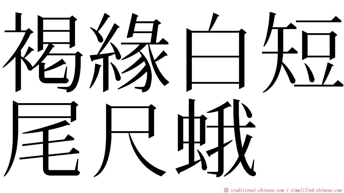 褐緣白短尾尺蛾 ming font