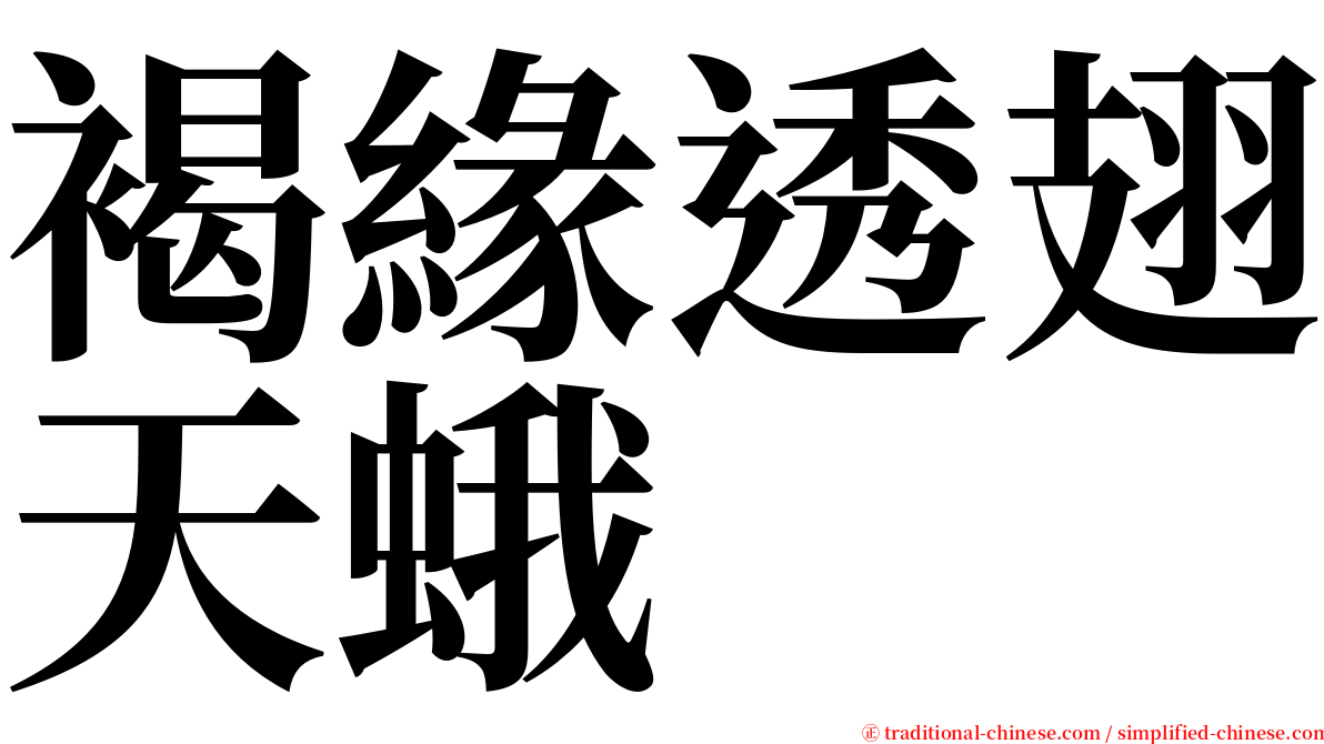 褐緣透翅天蛾 serif font