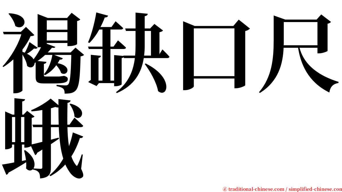 褐缺口尺蛾 serif font