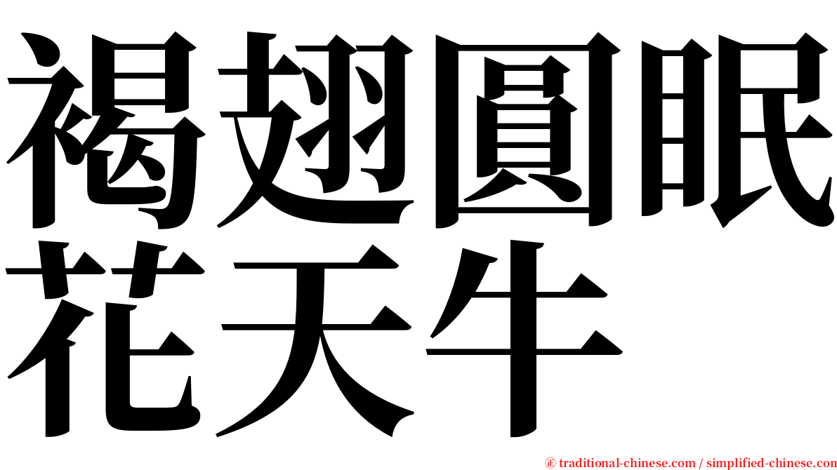 褐翅圓眠花天牛 serif font