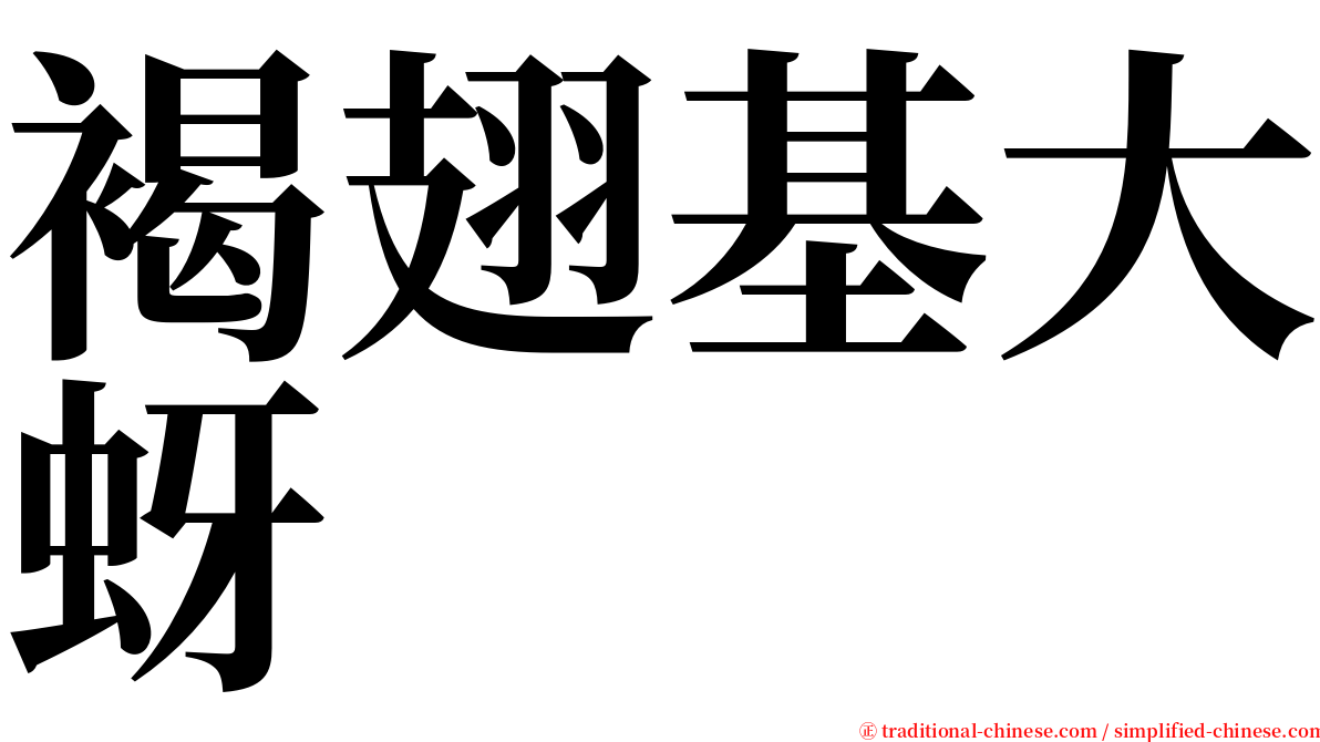 褐翅基大蚜 serif font