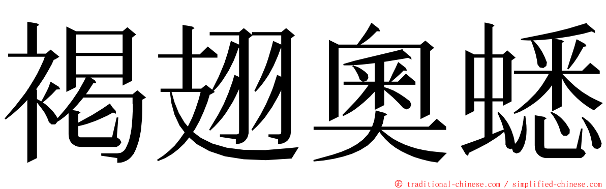 褐翅奧蟋 ming font