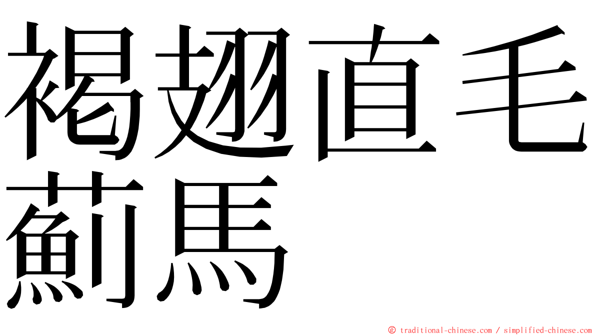 褐翅直毛薊馬 ming font