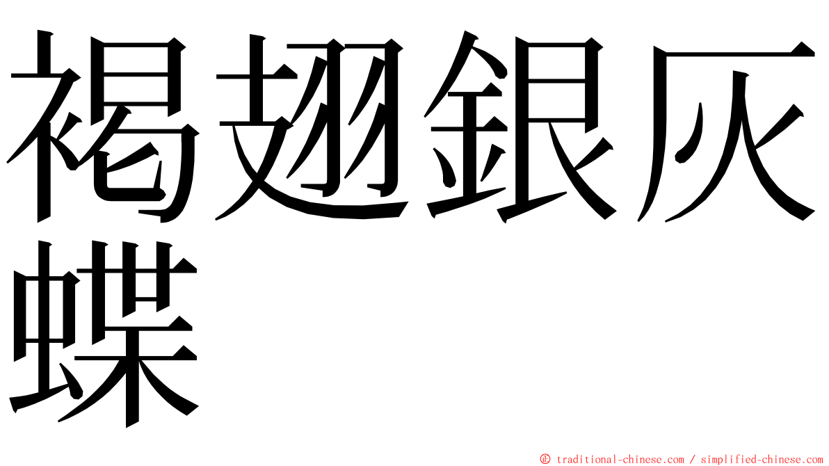 褐翅銀灰蝶 ming font