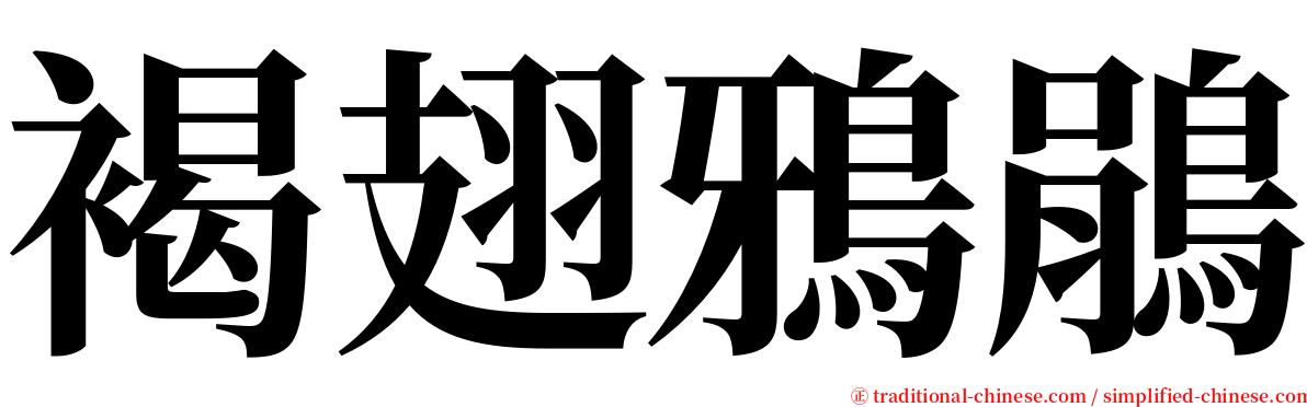 褐翅鴉鵑 serif font