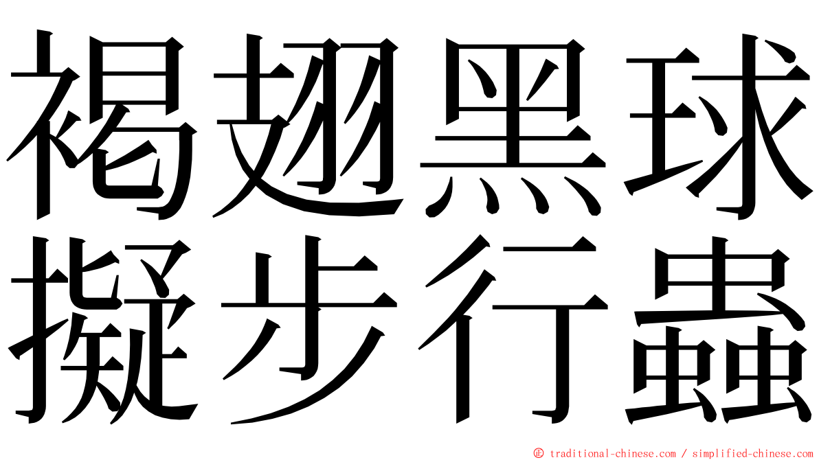 褐翅黑球擬步行蟲 ming font