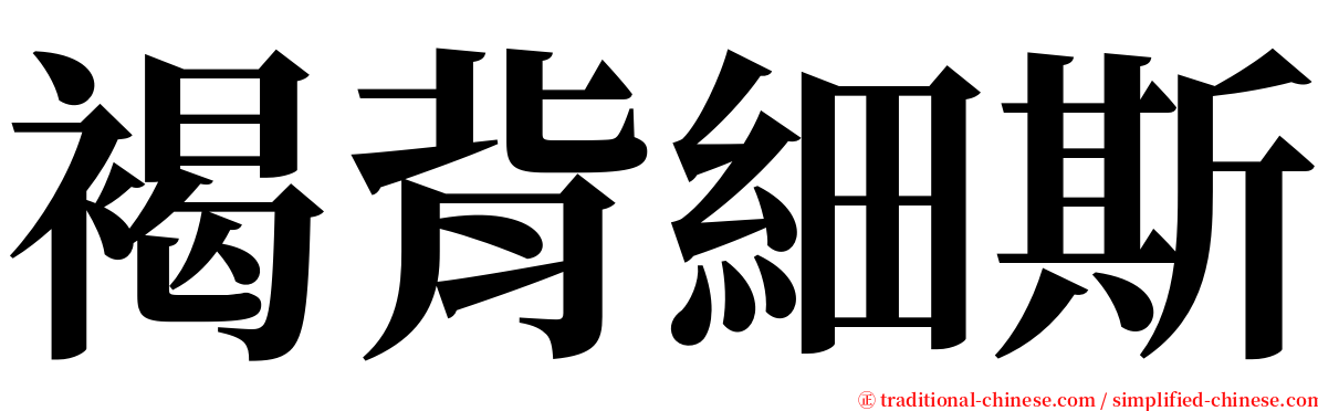 褐背細斯 serif font