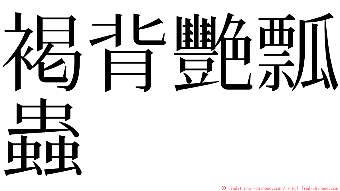 褐背艷瓢蟲 ming font