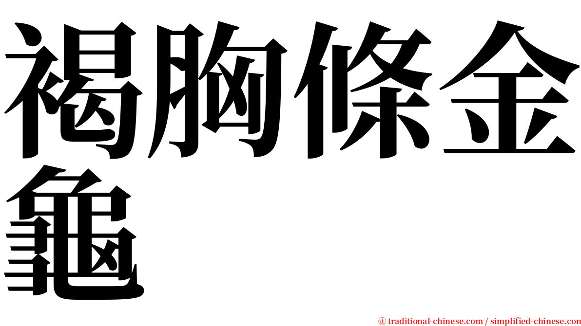 褐胸條金龜 serif font