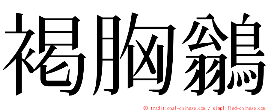 褐胸鶲 ming font