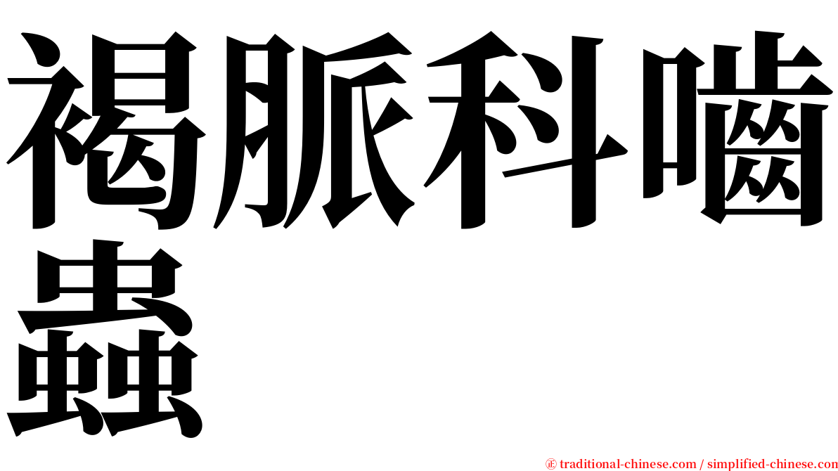 褐脈科嚙蟲 serif font