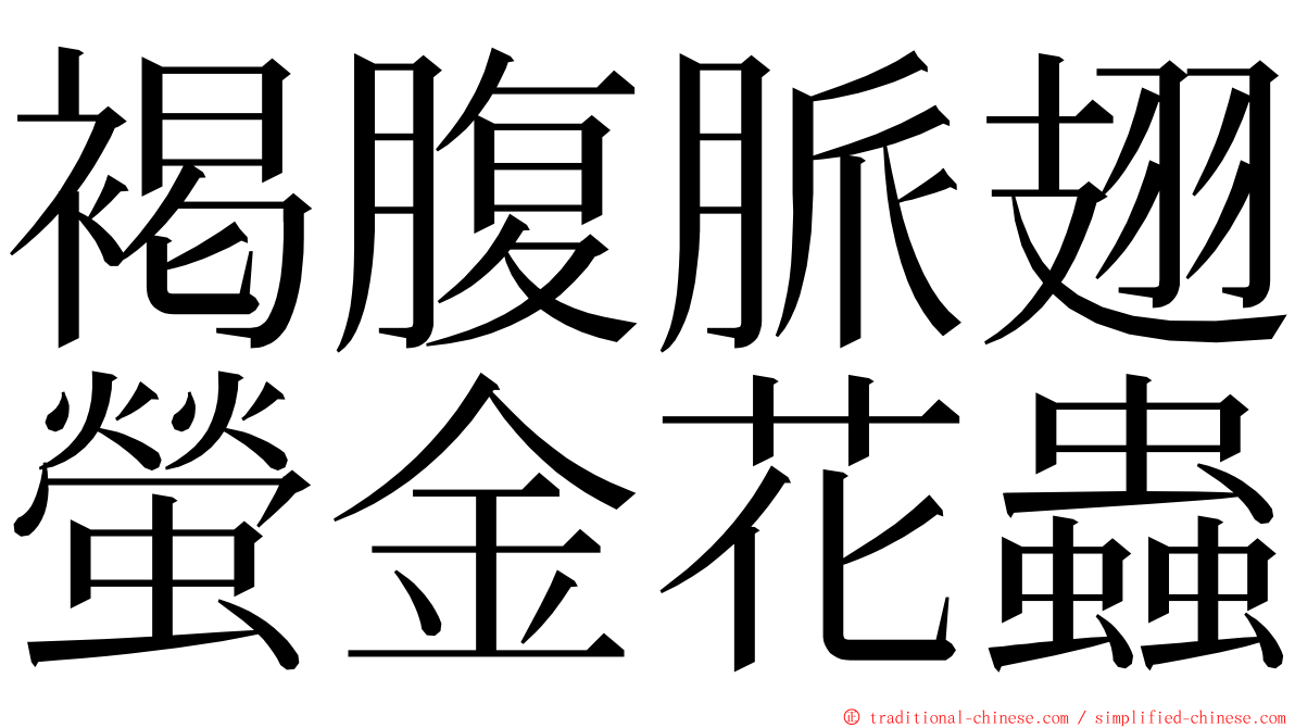 褐腹脈翅螢金花蟲 ming font