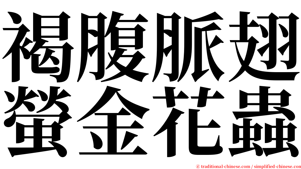 褐腹脈翅螢金花蟲 serif font