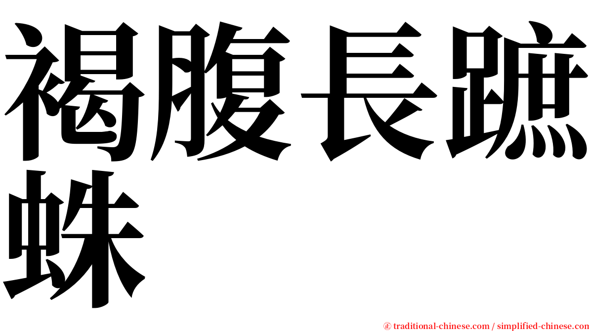 褐腹長蹠蛛 serif font