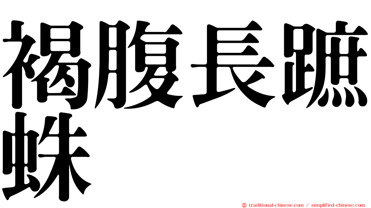 褐腹長蹠蛛