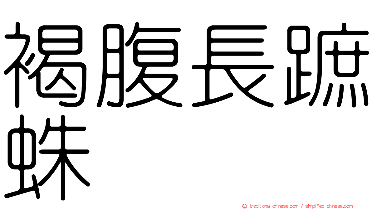褐腹長蹠蛛