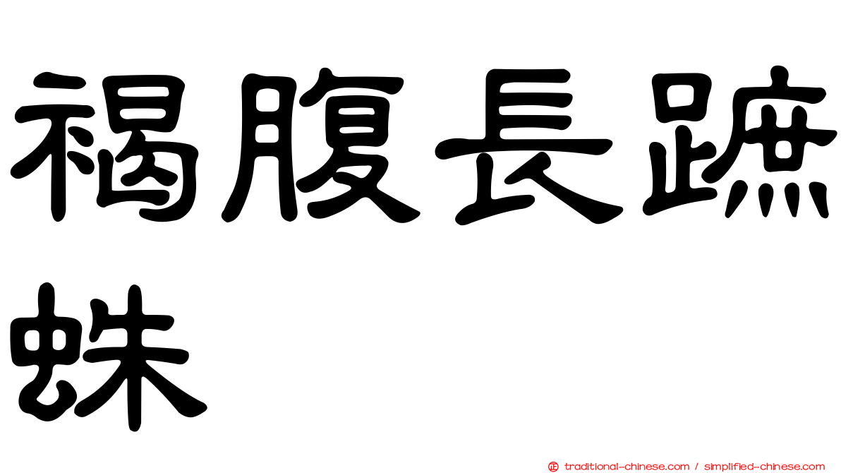 褐腹長蹠蛛