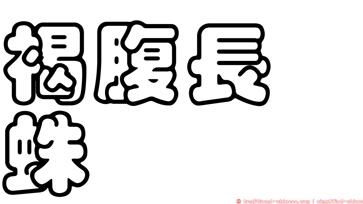 褐腹長蹠蛛