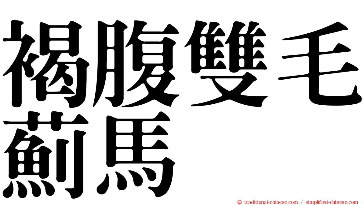 褐腹雙毛薊馬