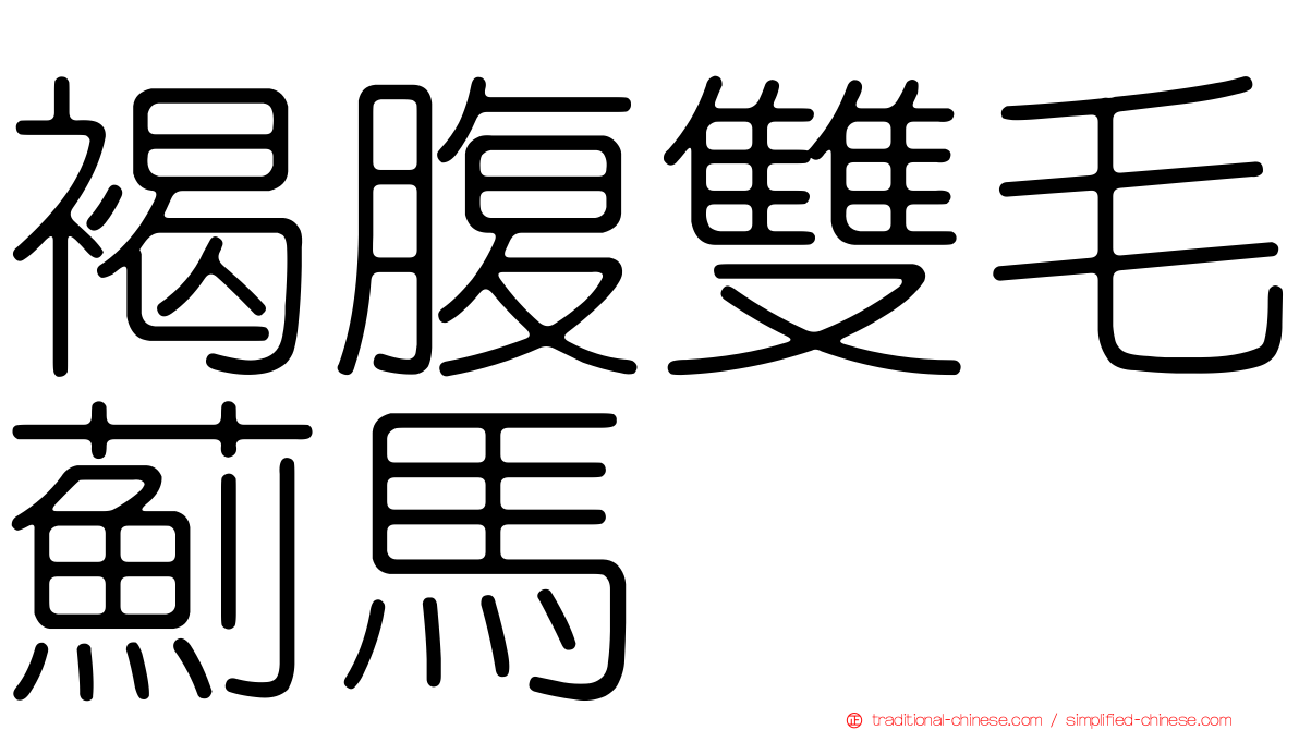 褐腹雙毛薊馬