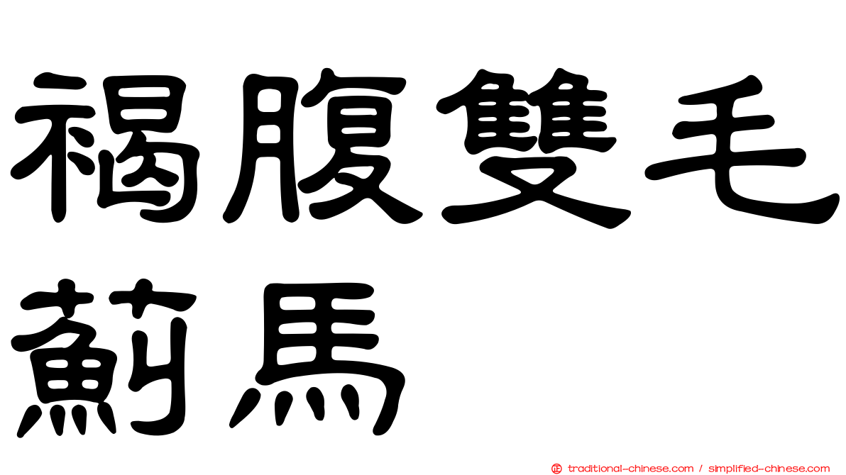 褐腹雙毛薊馬