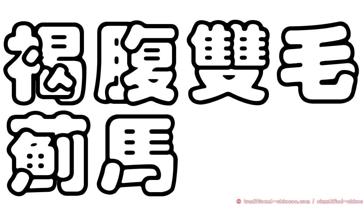 褐腹雙毛薊馬