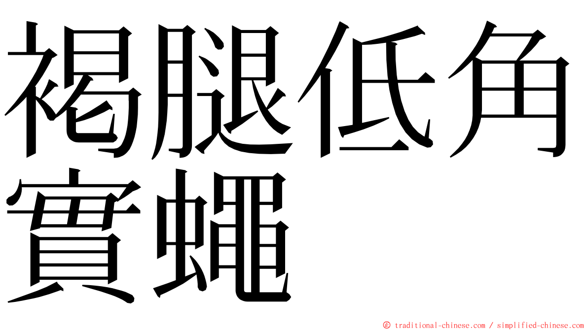 褐腿低角實蠅 ming font