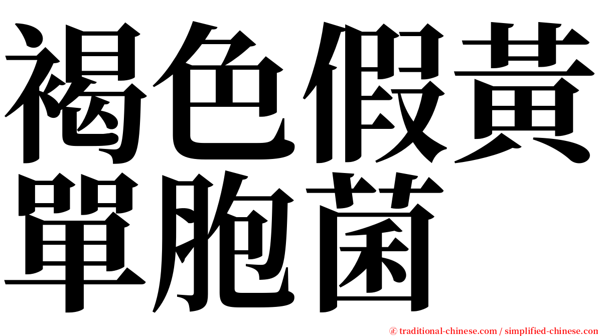褐色假黃單胞菌 serif font