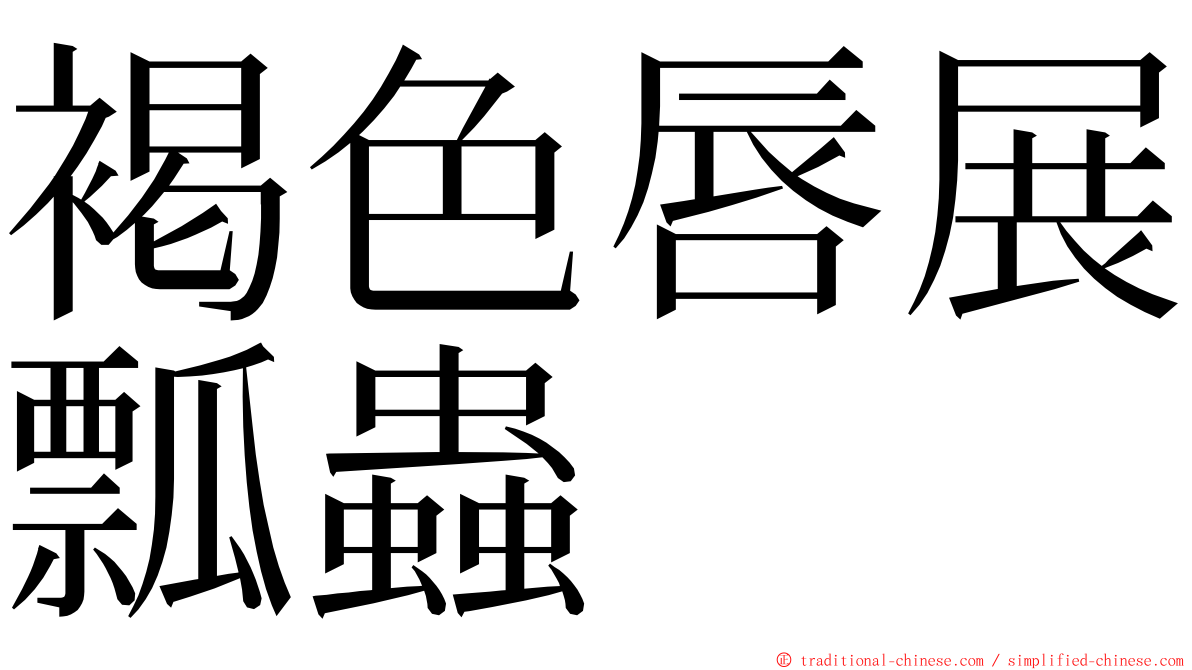 褐色唇展瓢蟲 ming font