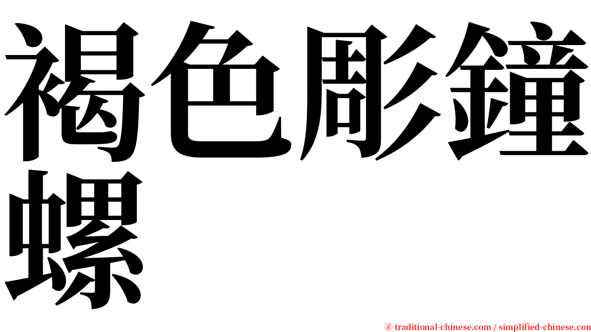 褐色彫鐘螺 serif font