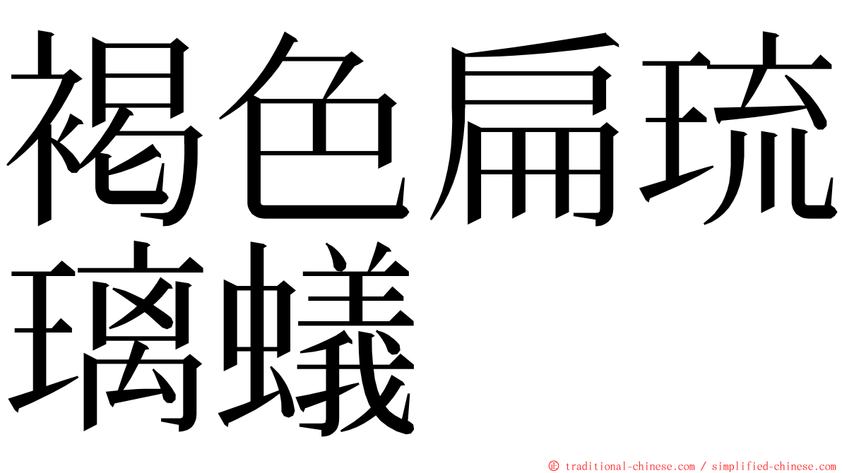 褐色扁琉璃蟻 ming font