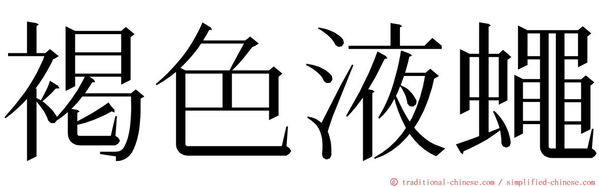 褐色液蠅 ming font