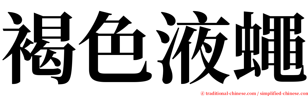 褐色液蠅 serif font