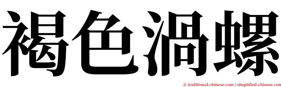 褐色渦螺 serif font