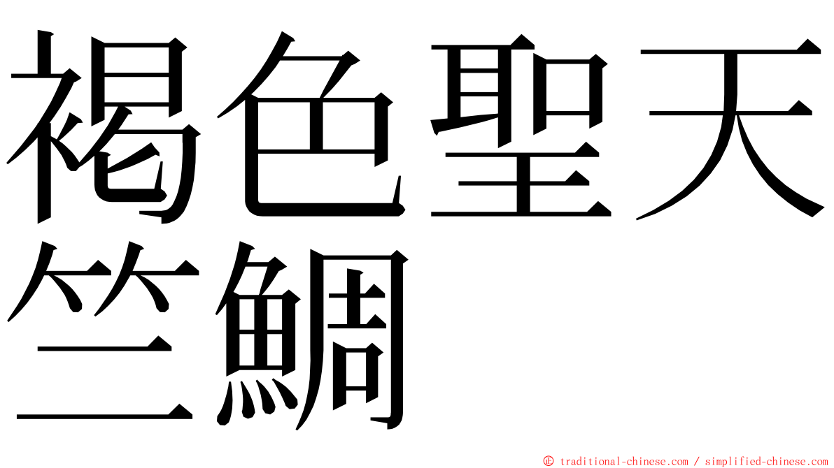 褐色聖天竺鯛 ming font