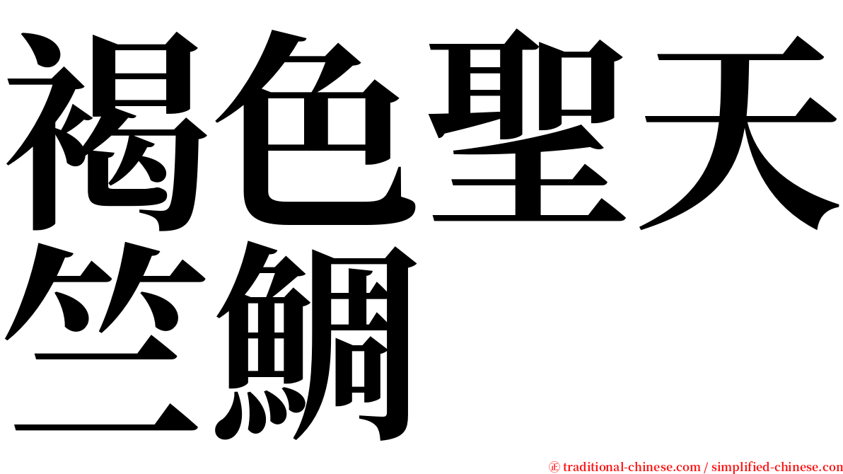 褐色聖天竺鯛 serif font